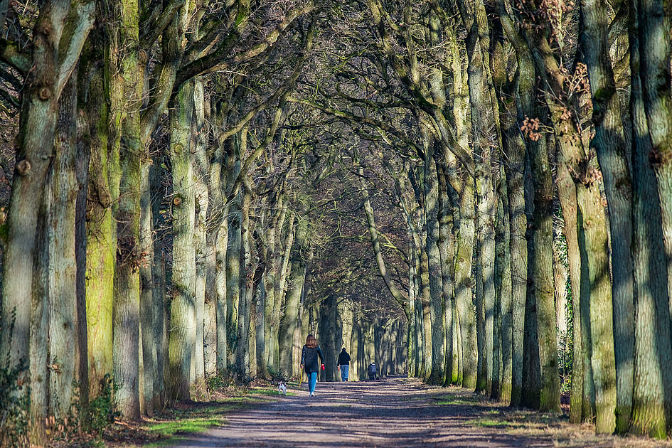 @fonsvandevoordt @esmallenbroek Om ruimte te houden voor hulpdiensten, zijn de wegen rondom de Molenpolder de komende dagen afgesloten voor gemotoriseerd verkeer. Zie.. Op de fiets kunt u er nog wel door. ^ao