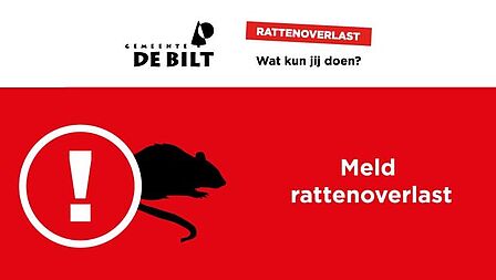Getekende rat met uitroepteken en uitgeschreven tekst 'Gemeente De Bilt, rattenoverlast, wat kun jij doen? en 'Meld rattenoverlast'